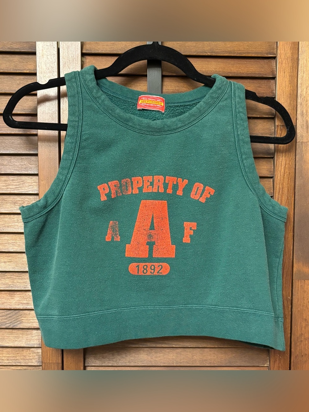 VINTAGE Y2K Abercrombie & Fitch Green Cropped Tank with Distressed Graphic